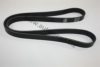 AUTOMEGA 30103610185 V-Ribbed Belts